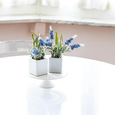 958 Flat-*charming Apartment* *